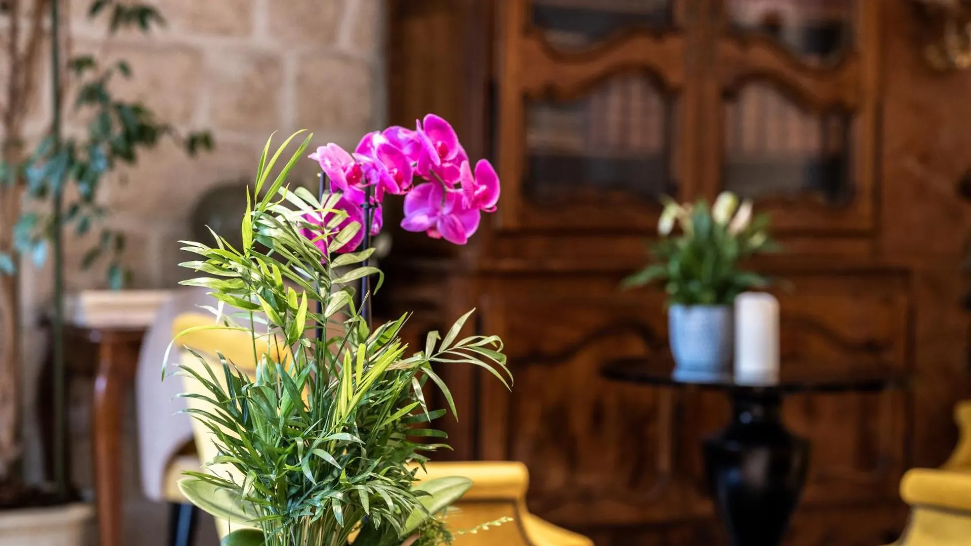 Hotel Minerve 3*